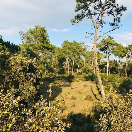 De Rochebonne, Paisibilite Et Authenticite *